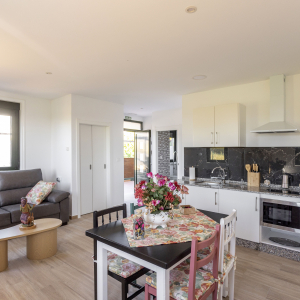 Apartamento O Rodo (adaptado movilidad reducida)